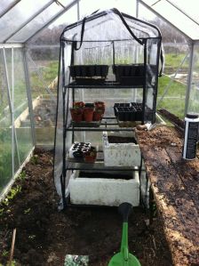 march is a hopeful but stressful month for allotment growers. the first shoots of tomatoes and brassica have come out but they are delicate and at night it still gets cold